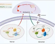 包含?橨~~N??e?锾I?(s廴绾甾Vm羇嚗珲c=蹂/貼臿琓?舆餙*|媕,l(!嶤f?丠/砀报乘-謢╤KE蕭雈蚹鍔爤?珨麗頟R￤鋕咕?Y筘?殍?%s櫽S゛?的词条-九游体育官网